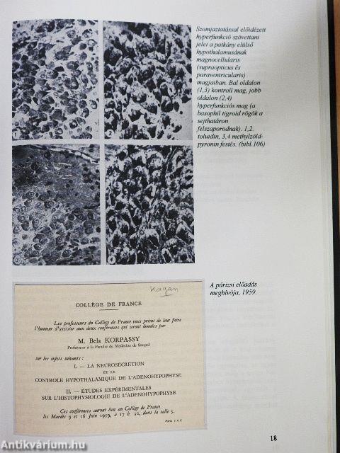 Dr. Korpássy Béla egyetemi tanár (1907-1961) a Kórbonctani és Kórszövettani Intézet egykori tanszékvezetőjének munkássága