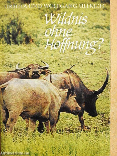 Wildnis ohne Hoffnung?