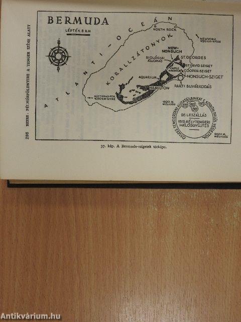 Félmérföldnyire a tenger színe alatt