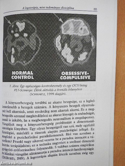 Az értelemkérdés sodrában