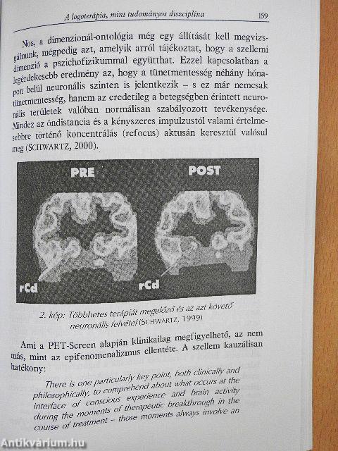 Az értelemkérdés sodrában