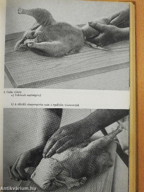 A választékos konyha