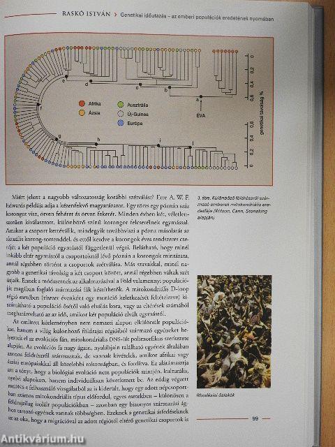 Mindentudás Egyeteme 4.