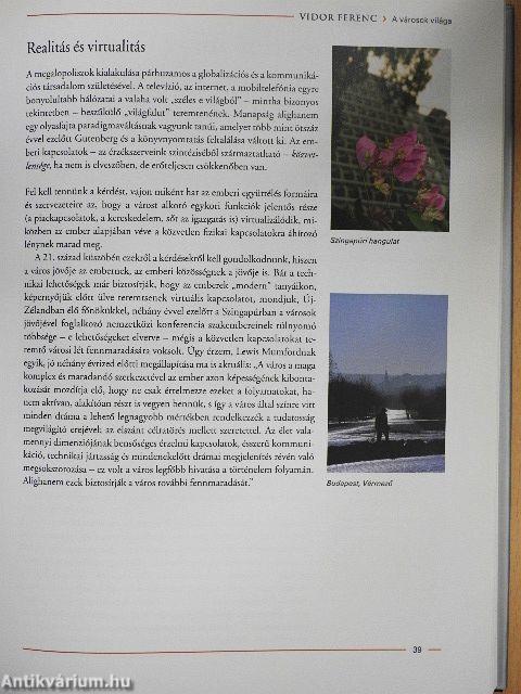 Mindentudás Egyeteme 4.