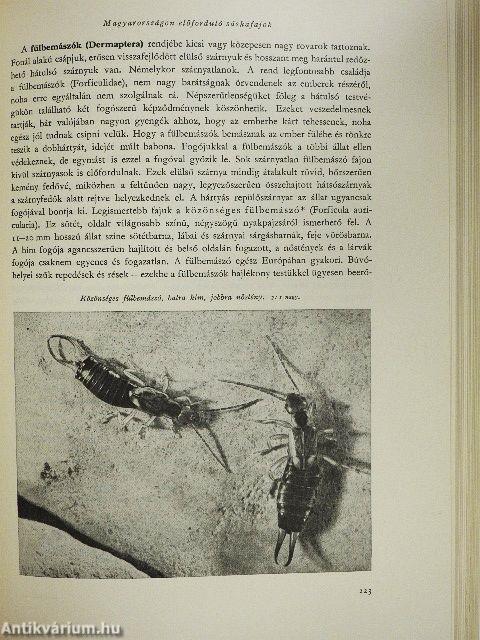 Brehm - Az állatok világa I-IV.