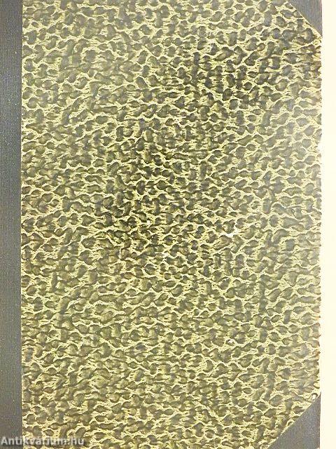 Az arany hegedű/Álomország