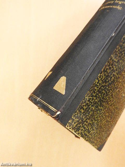 Az arany hegedű/Álomország