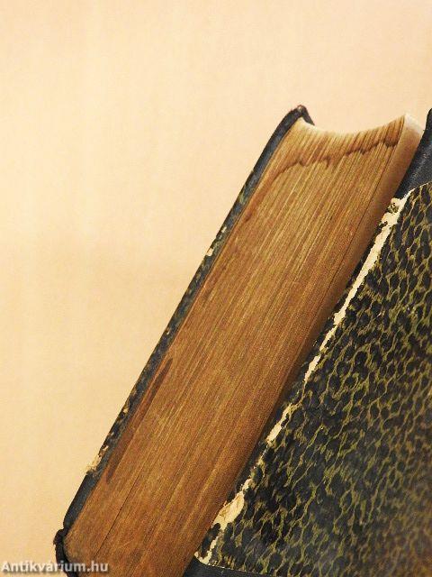 Az arany hegedű/Álomország