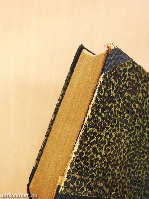 Az arany hegedű/Álomország