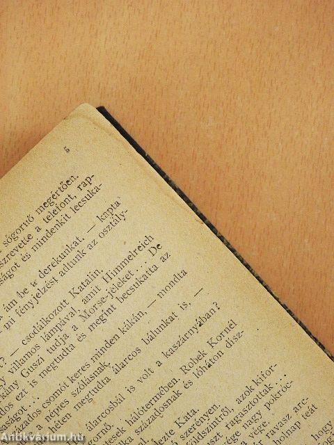 Az arany hegedű/Álomország