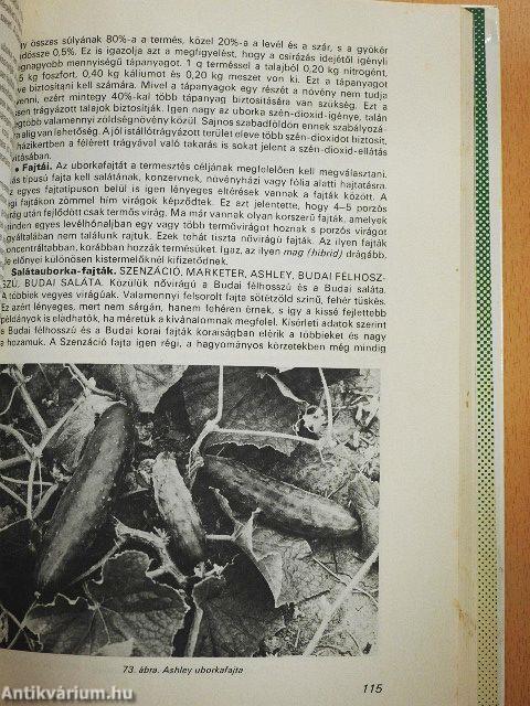 Zöldségtermesztés a házikertben