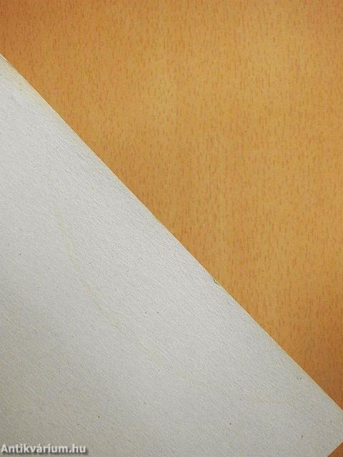 Egy idegen a tükörben