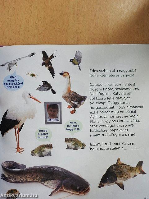 Keresd a rímet!