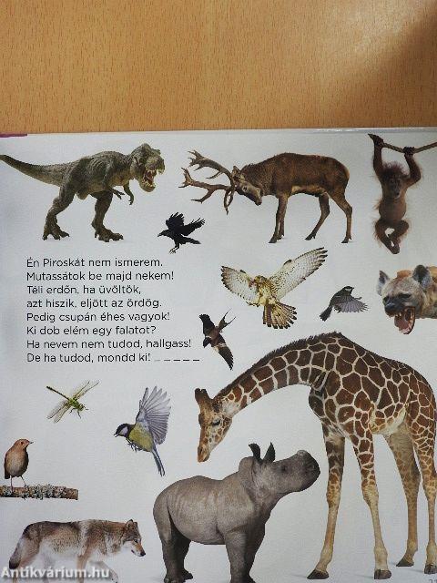 Keresd a rímet!