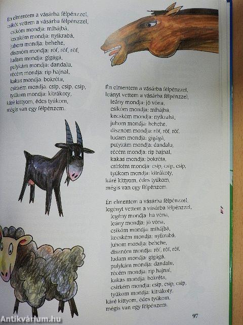 Pitypang