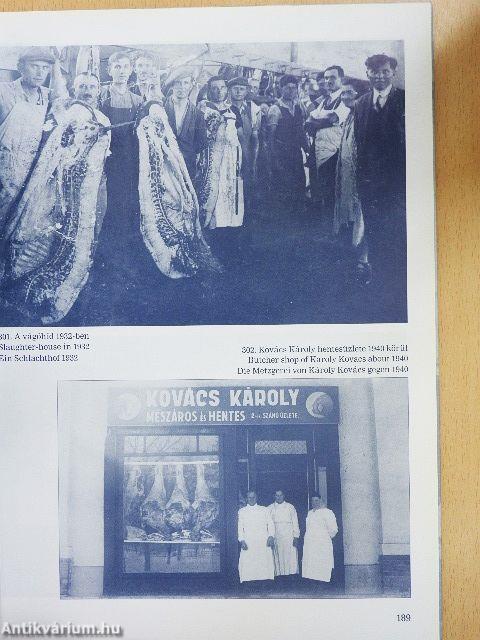 Törökszentmiklósi kép-mutató