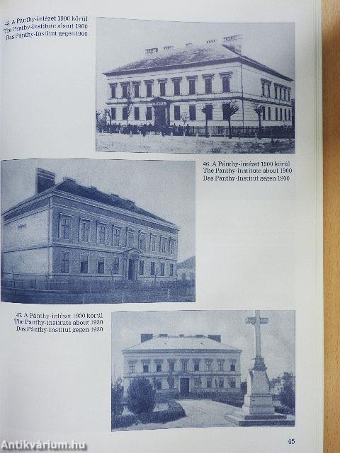 Törökszentmiklósi kép-mutató