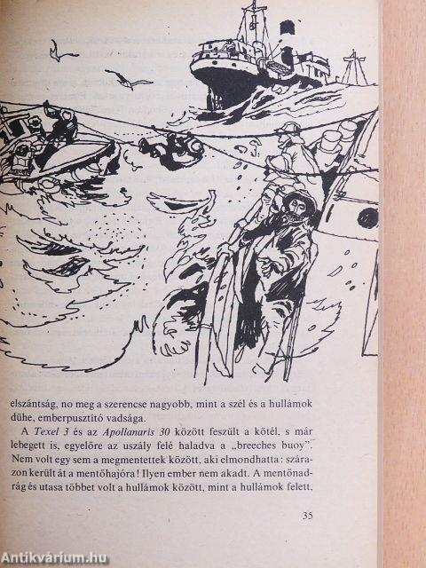 Kalózok, bálnák, tengerek