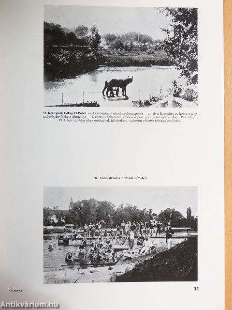 Képek Szarvas múltjából