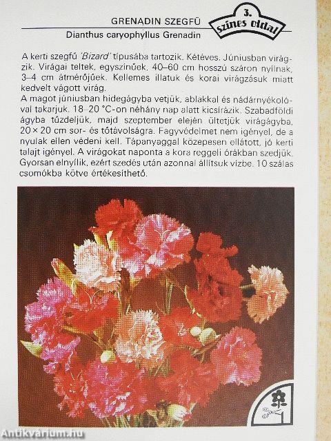 Az egy- és kétnyári virágokról