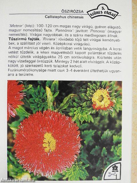 Az egy- és kétnyári virágokról