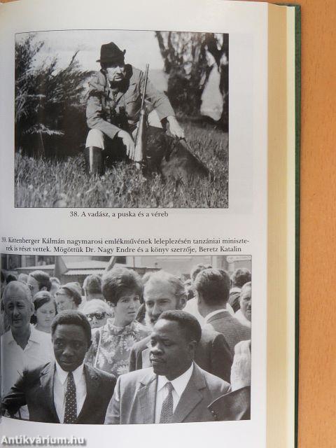 Puskák-pajzsok-fohászok