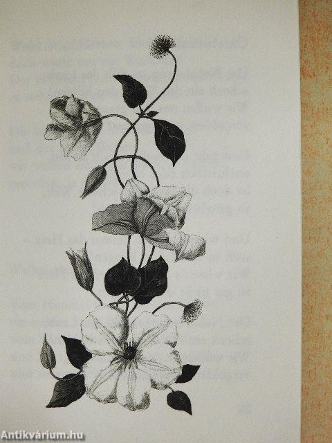 Ausgewählte Kostbarkeiten