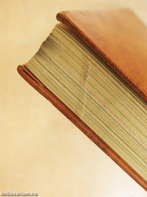 Beszélgetés a Mesterrel