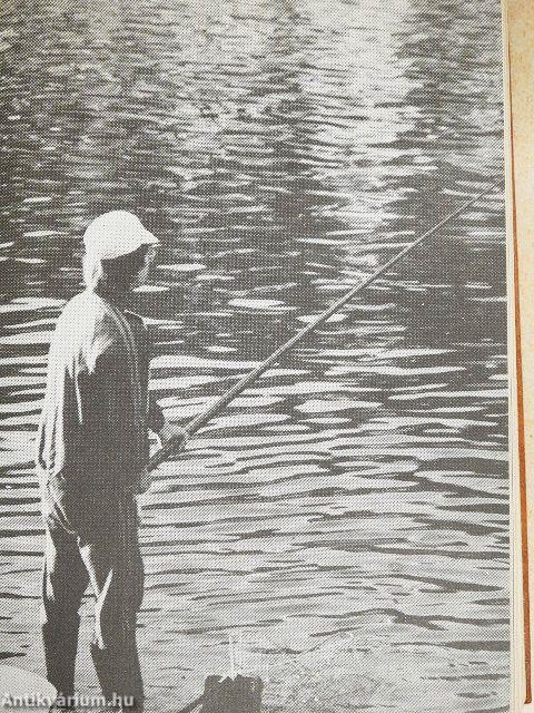 Beszélgetés a Mesterrel