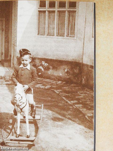 Kertek és egyéb tűnődések