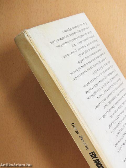 Egy angol a partizánok között