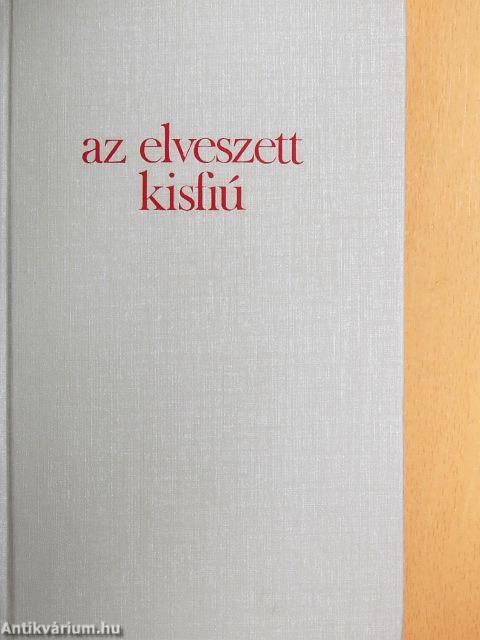 Az elveszett kisfiú
