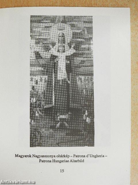 Szent István Ház, Róma