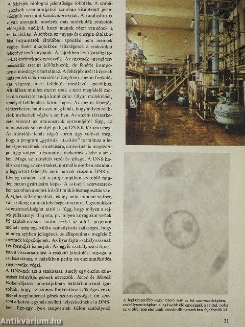 Minerva nagy képes enciklopédia 1.