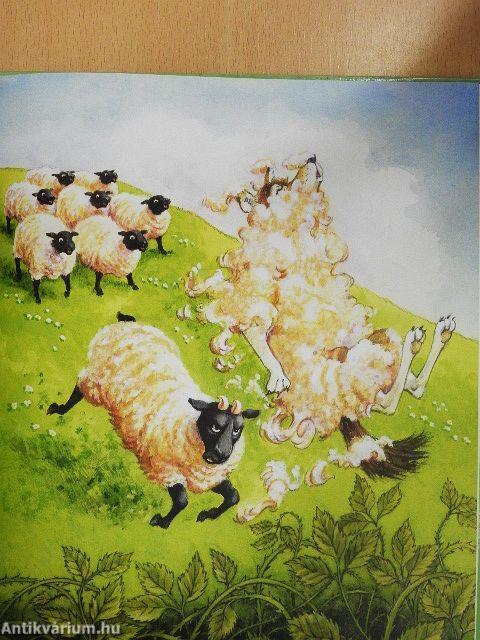 A bárány bőrébe bújt farkas