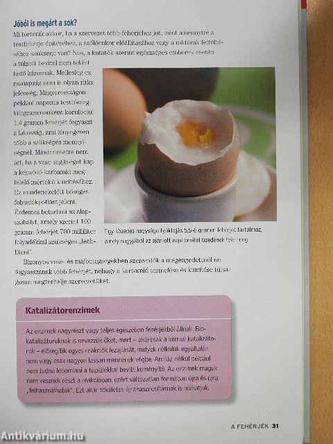 Hogyan tartható egyensúlyban az anyagcsere?