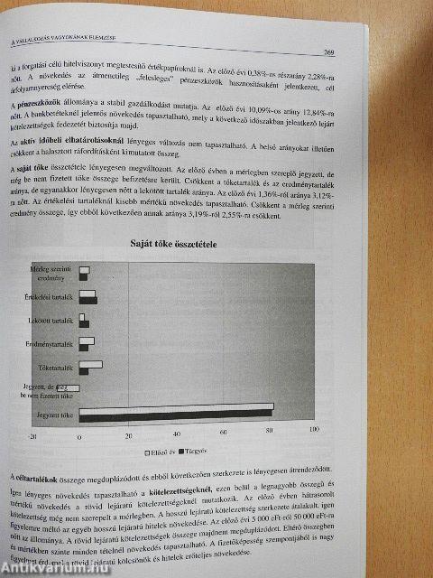 A vezetői számvitel alapjai