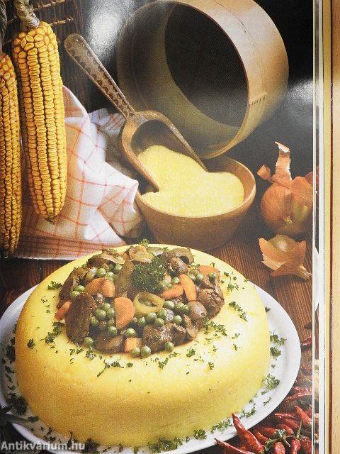 99 könnyű húsétel 33 színes ételfotóval