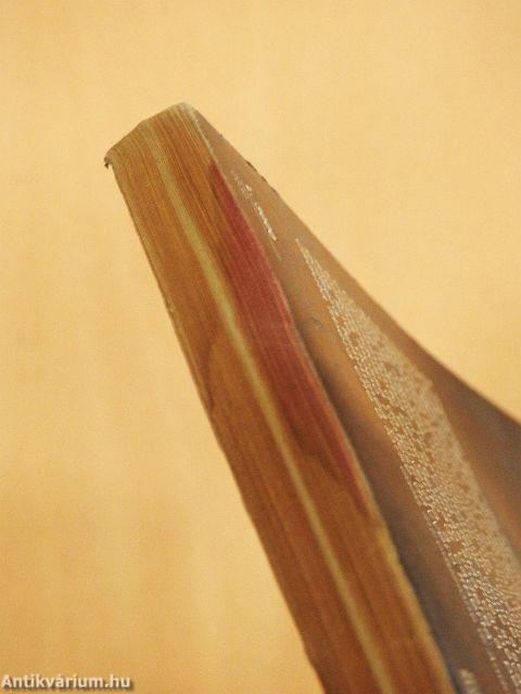 La cittá delle donne