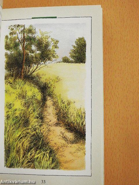 L'homme qui plantait des arbres