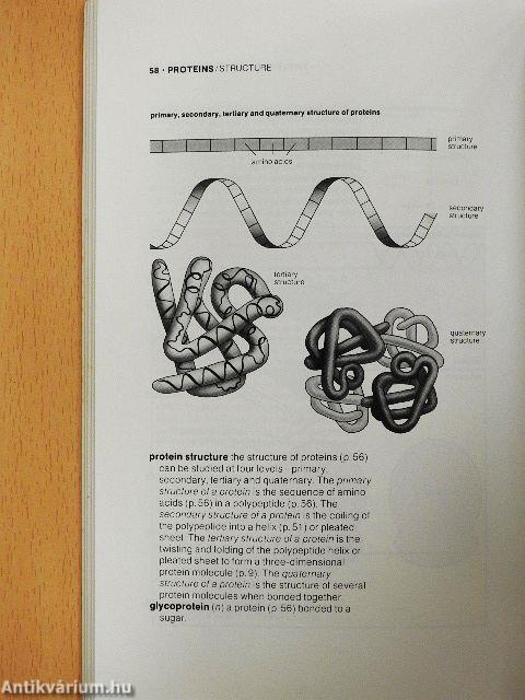 Longman Botany Handbook