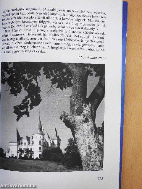 Az utolsó konflishajtó