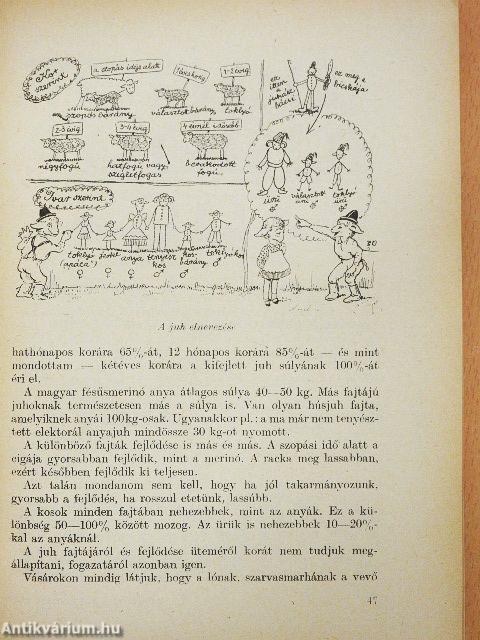 Vidám rajzos juhtenyésztés