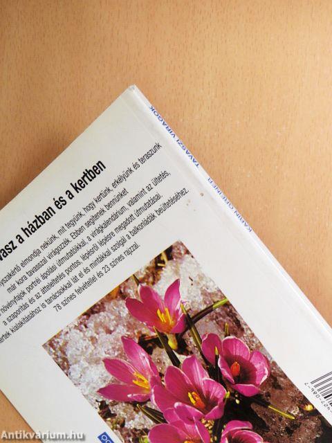 Tavaszi virágok a kertben, az erkélyen és a teraszon