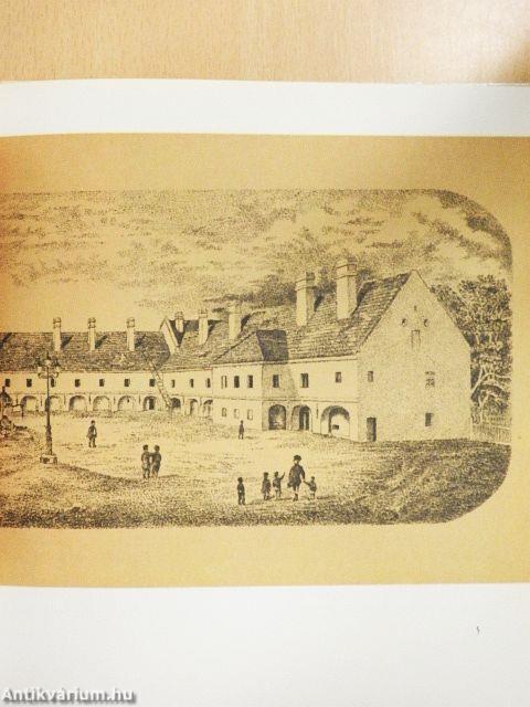 A bagolyvár és lakói