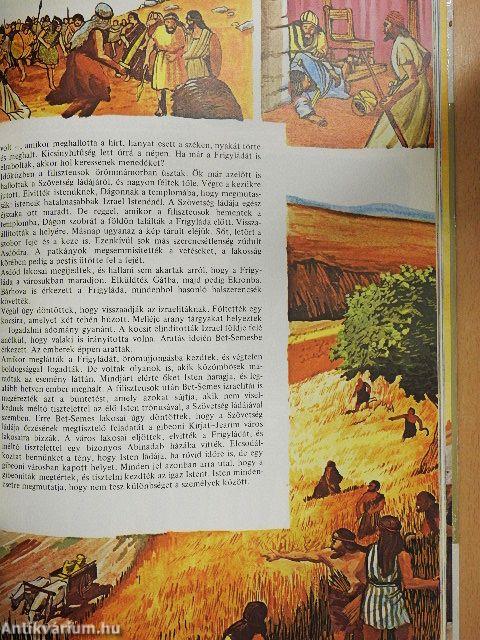 Az ígéret földjén