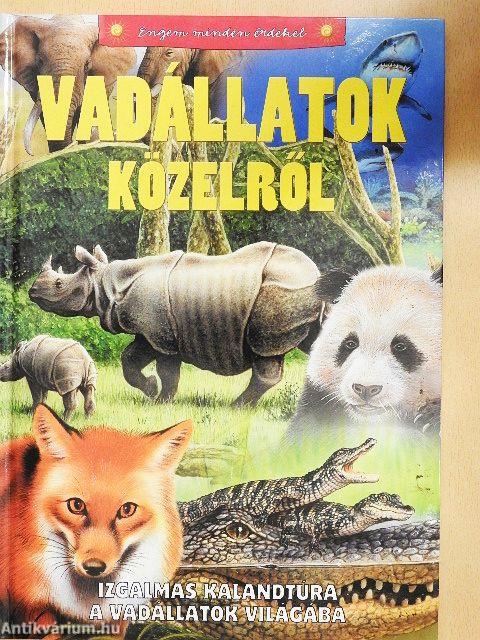 Vadállatok közelről