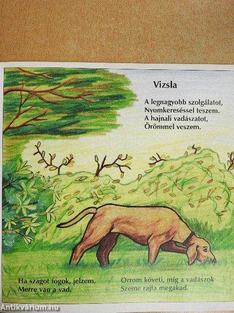 Kedvenceid verseskönyve 3.