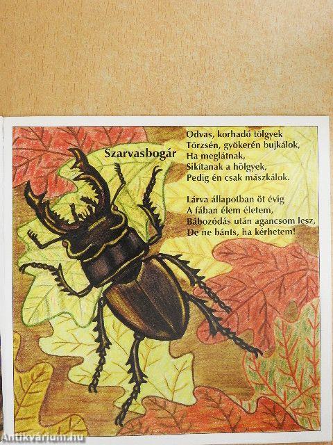 Kedvenceid verseskönyve 2.