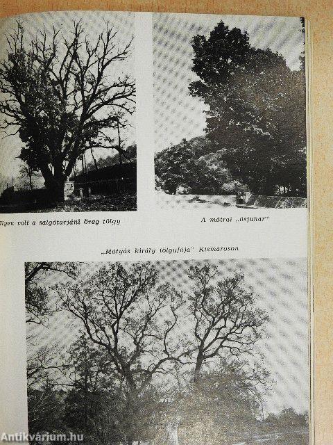 Védett területek, növény- és állatritkaságok